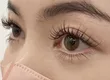 아이래시 살롱 K 아사가야 2